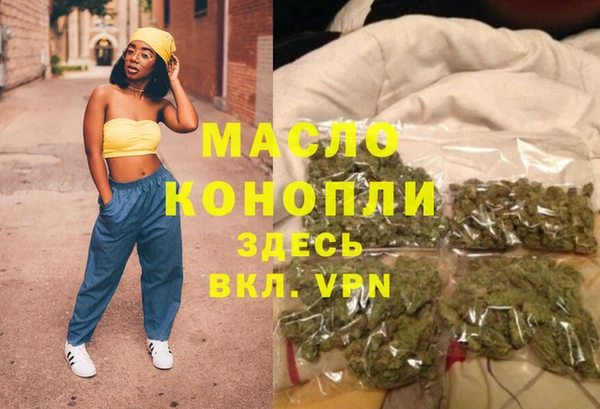 хмурый Аркадак